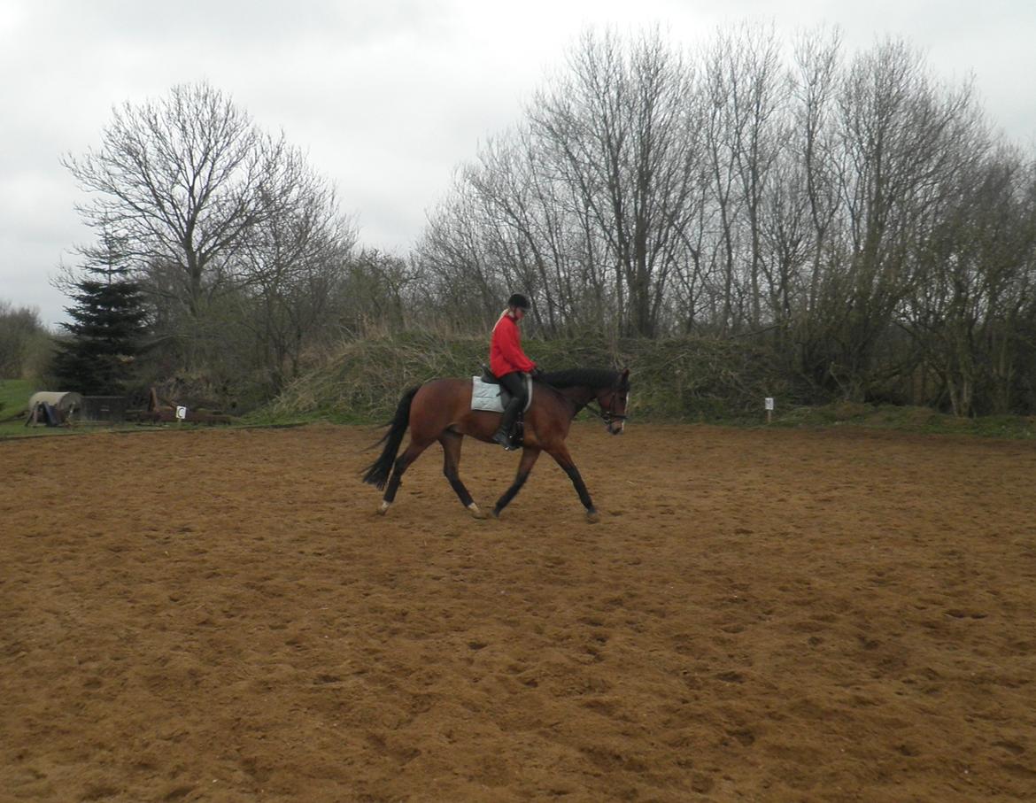 Oldenborg Narnio Roi - Fredag 26. april.
Efter undervisning går der super godt! <3 billede 17