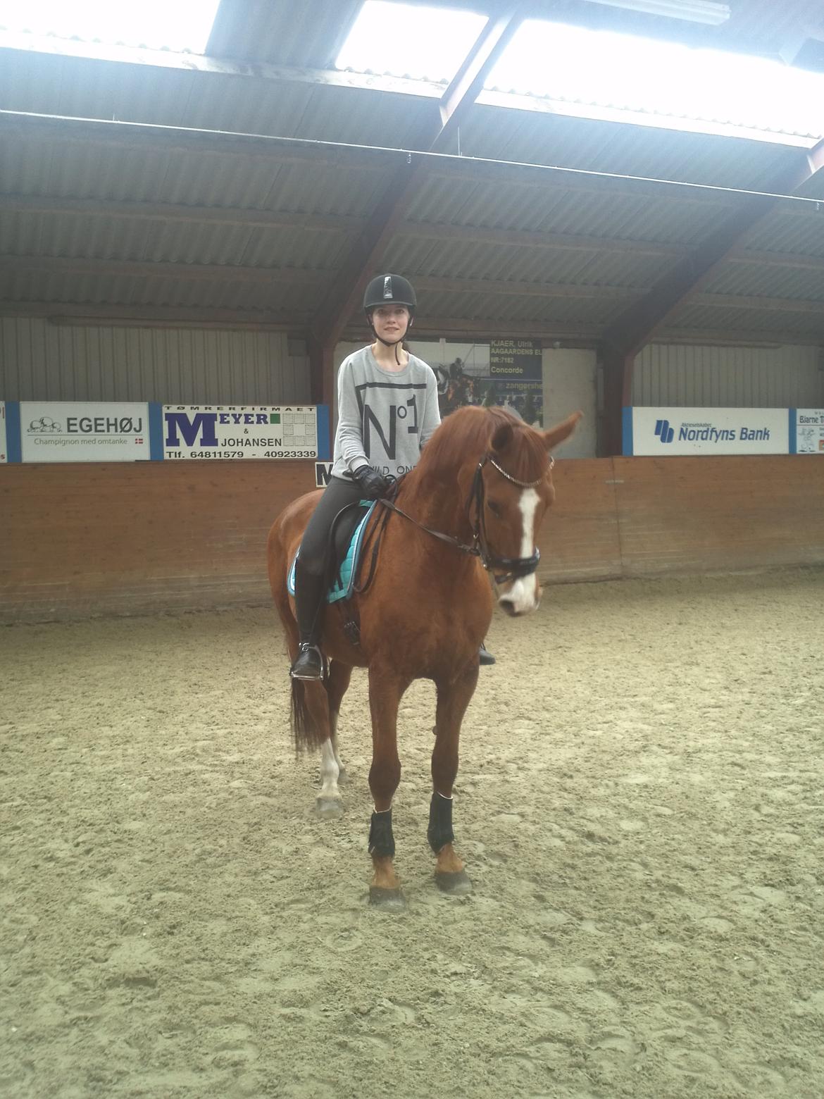 Anden særlig race Shiraz <3 billede 11