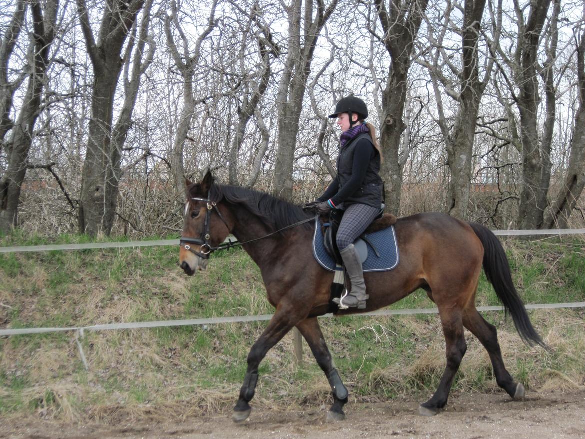 Traver Ærtig K - 26/04/13 opvarmning før spring billede 11