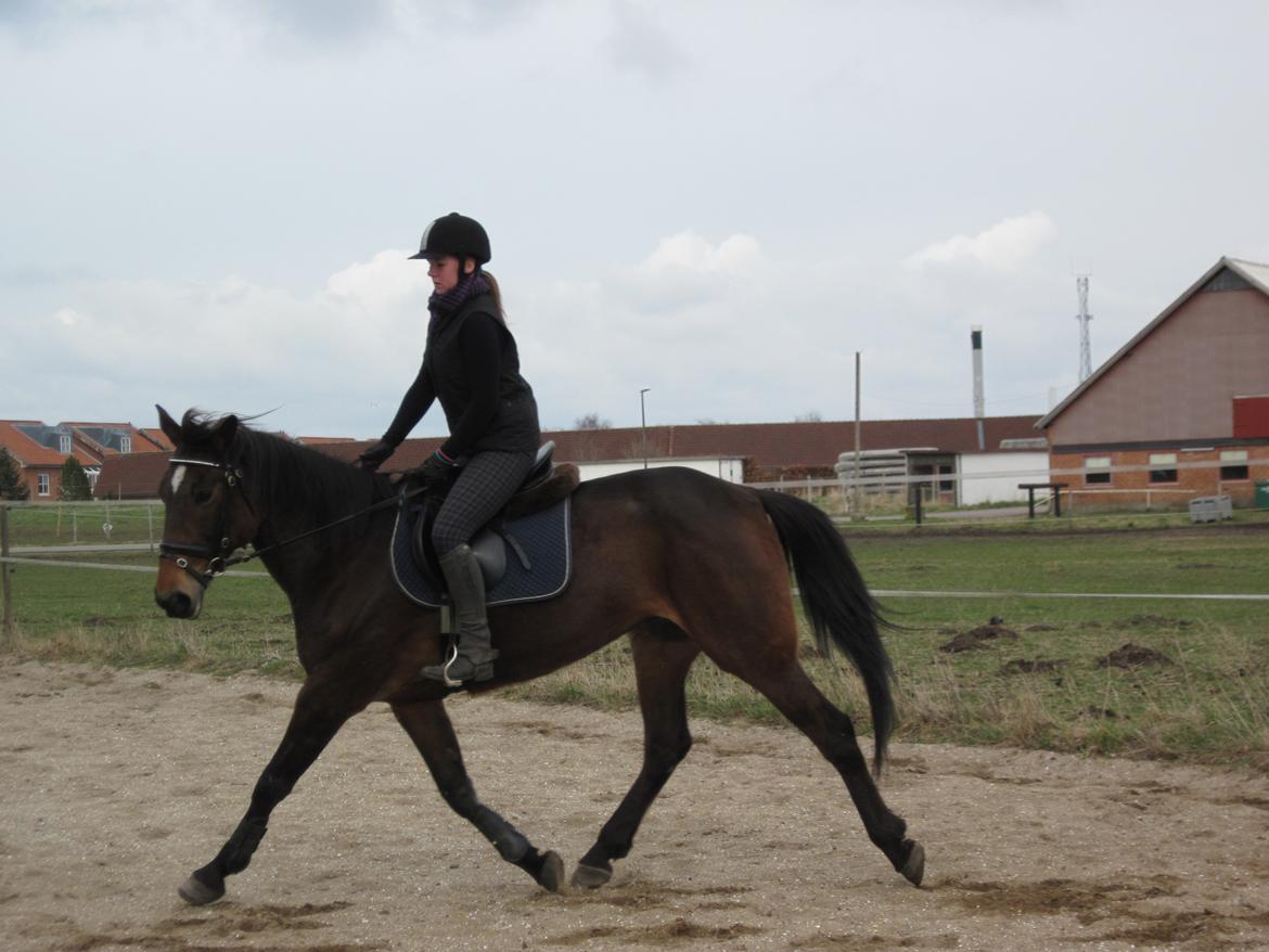 Traver Ærtig K - 26/04/13 opvarmning før spring billede 12