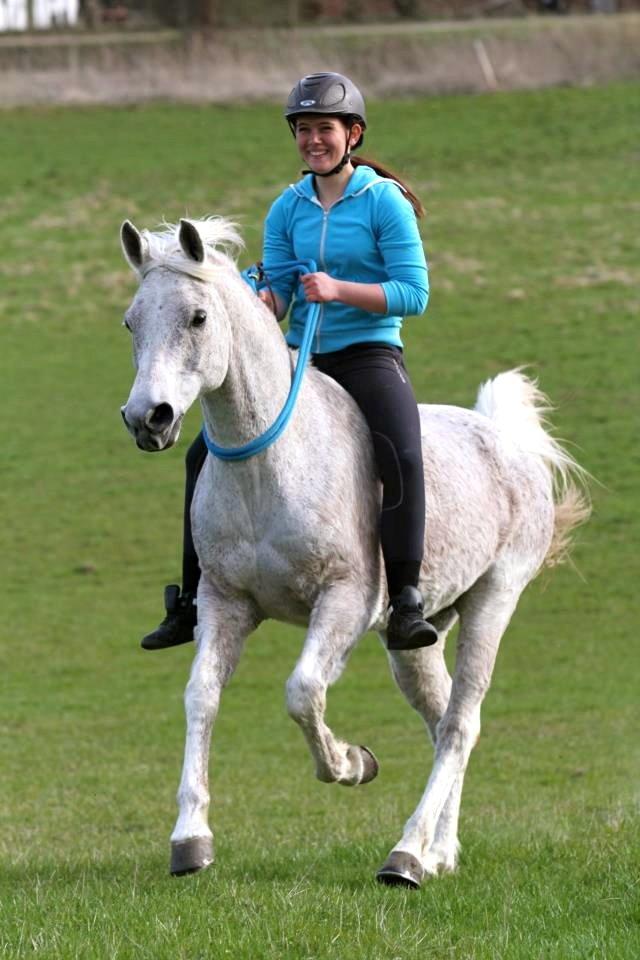 Arabisk fuldblod (OX) Shaman OX - Et venskab der aldrig ender! Et venskab med kampe, nedture, tåre, glæde og en masse grin og smil! <3 Foto: Freja "Vi To" billede 14