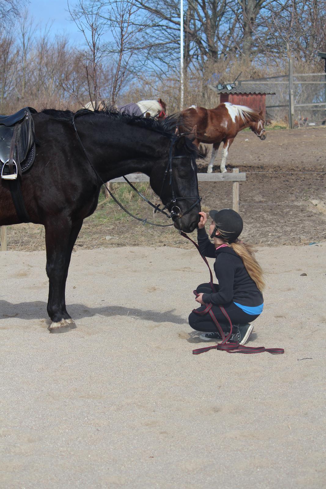 Oldenborg Nero. | Bøllebarnet | billede 4