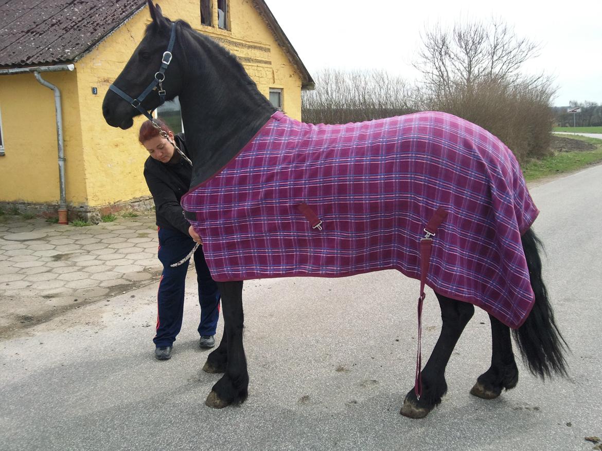 Frieser Nannabel af Ripa billede 1