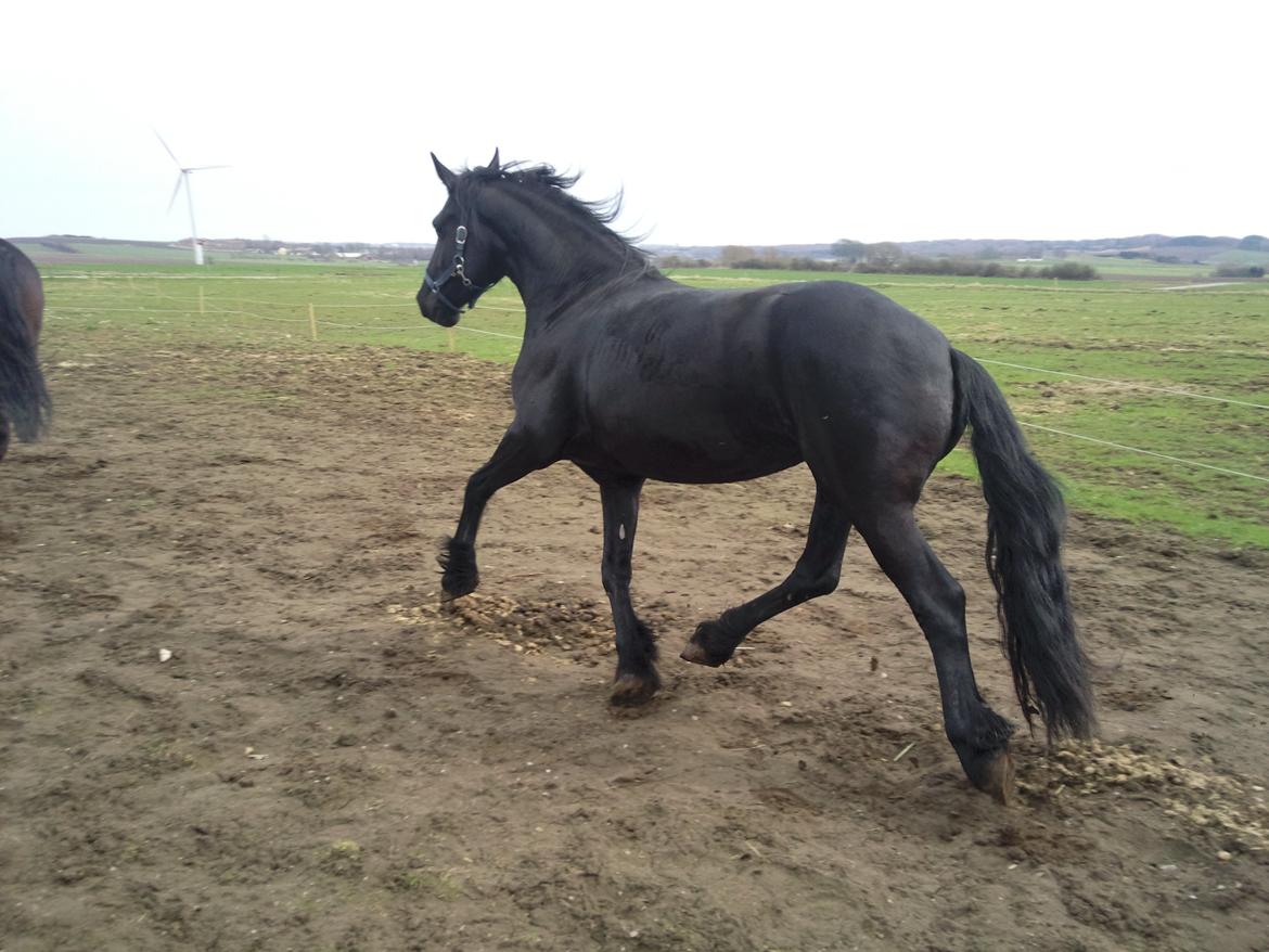 Frieser Nannabel af Ripa billede 2