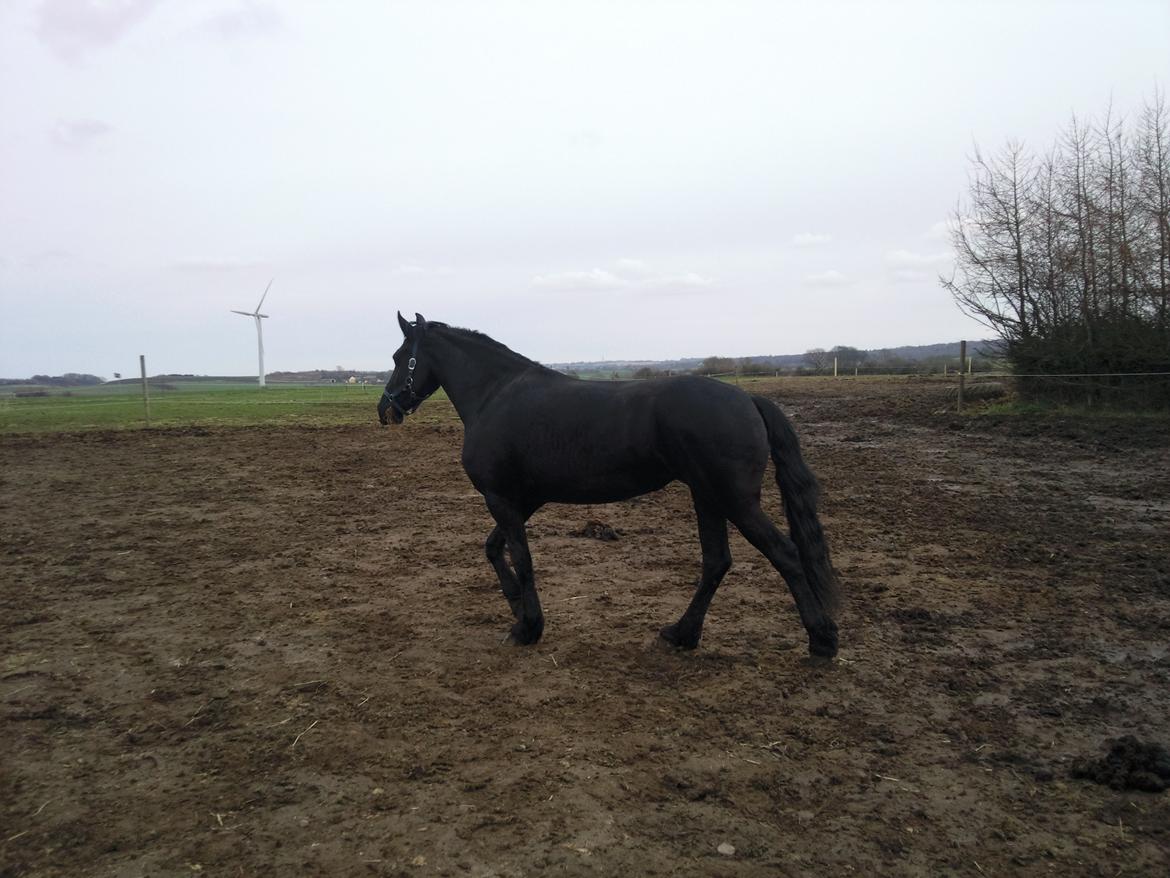 Frieser Nannabel af Ripa billede 5