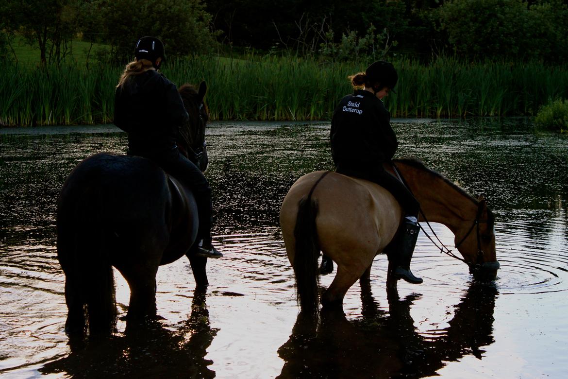 Anden særlig race | Luna   [Min bedsteven] - © Ragnhild på Egon og Mig på Luna, i søen, på ridelejren <3.
Fotograf - Lærke / Sommer 2012. billede 5