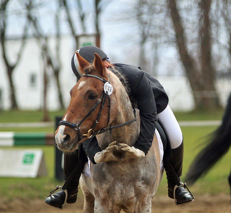 Hollandsk Sportspony Goya - 26/4-13 ELSKER min dreng !!
- Goya og mig til stævne.
Foto: Bella billede 23