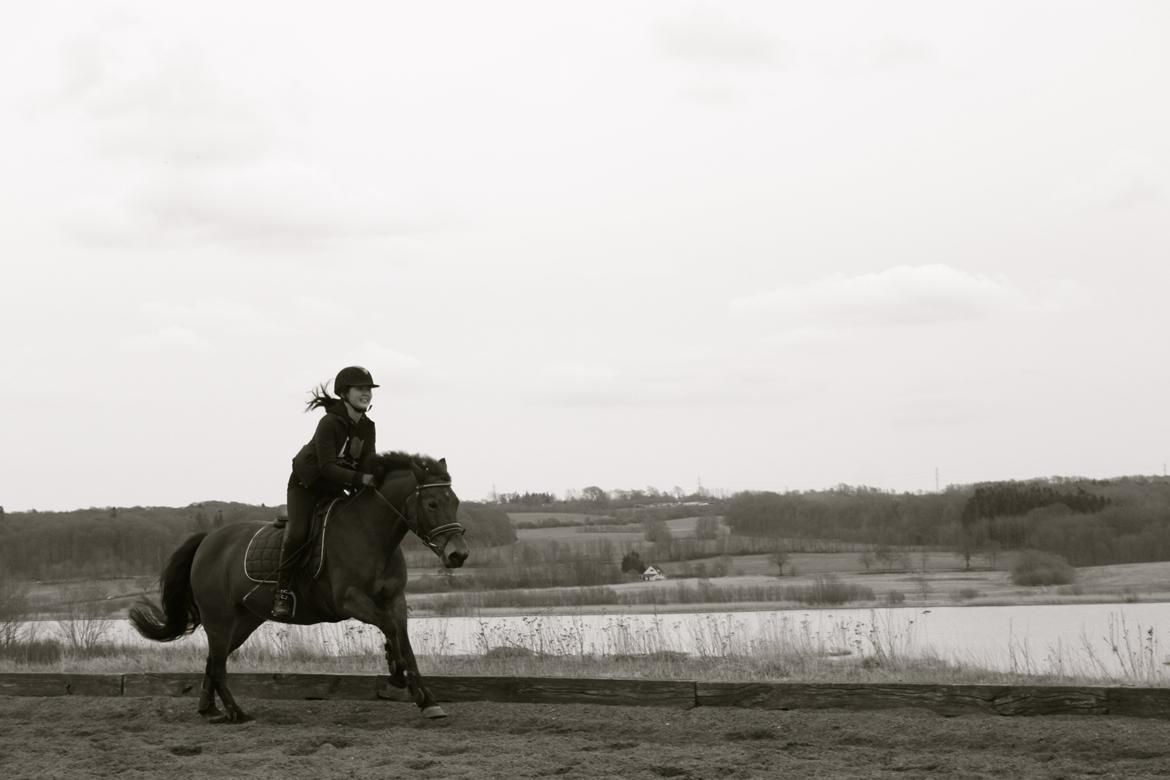 Anden særlig race Minnie - -taget af Astrid Dittmer<3 billede 17