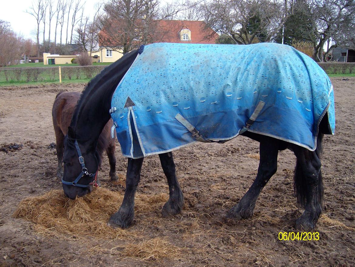 Frieser Nannabel af Ripa billede 8