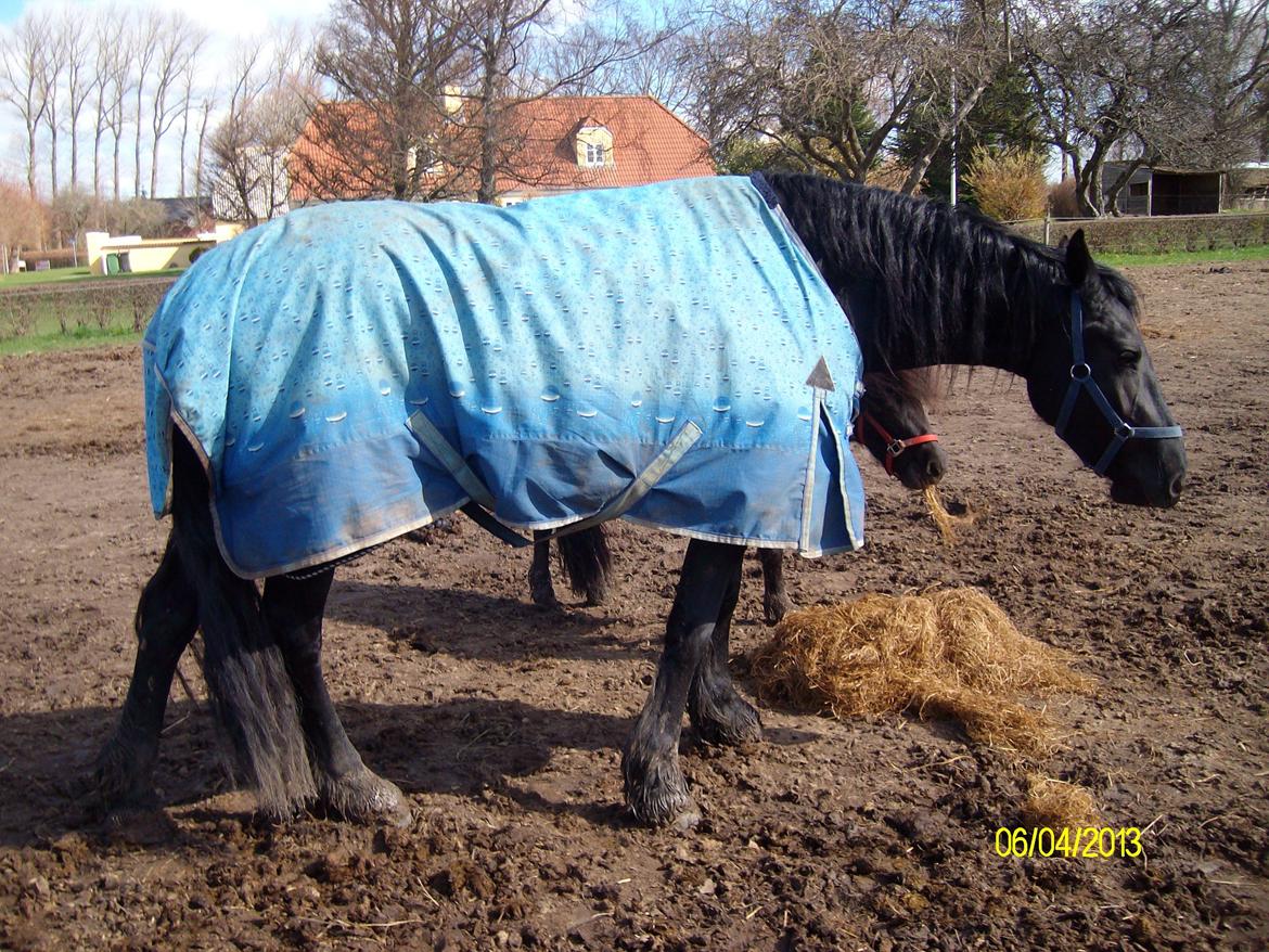 Frieser Nannabel af Ripa billede 9