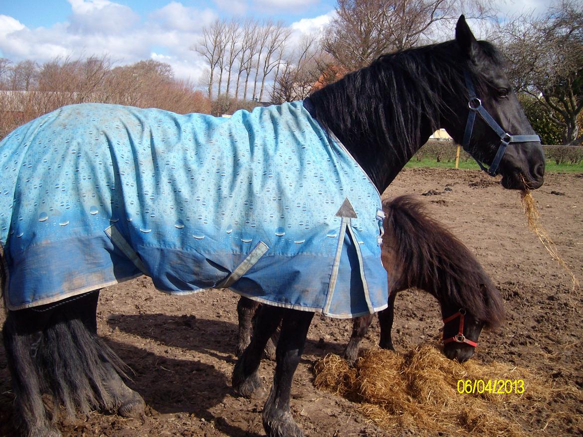 Frieser Nannabel af Ripa billede 11