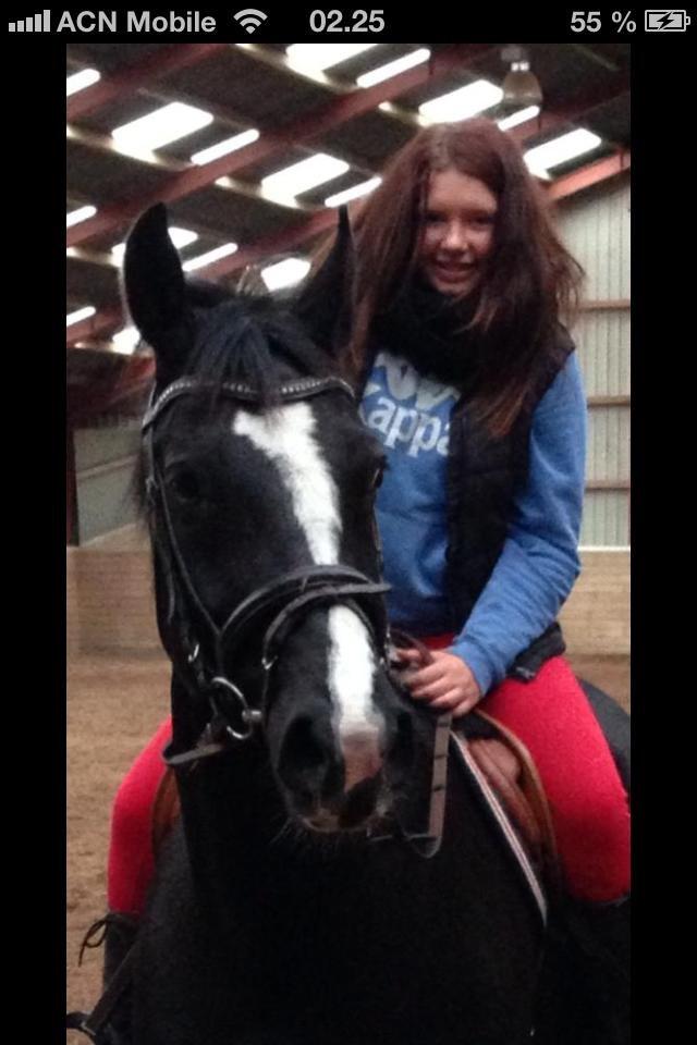 Anden særlig race SVALEGAARDEN ROLEX billede 24