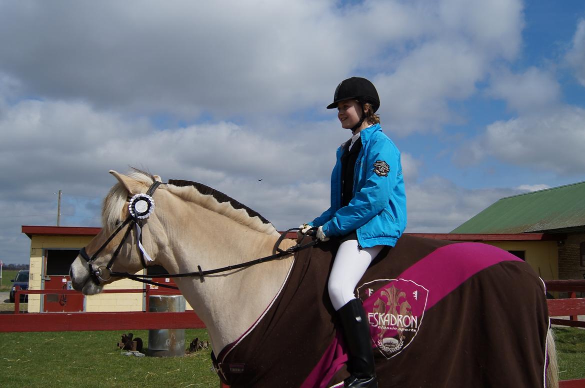 Fjordhest Thor Lysholm - LD2 Sløjfe dressur:-) 69,44% fik vi! Hvis det ikke var sløjfe ville jeg havde fået en 2. Plads<3  billede 18