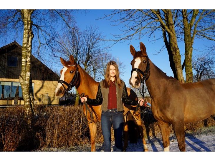 {{currentPhoto.altText}} billede {{currentPhoto.number}}