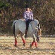 Fjordhest Anja<3 (My Soulmate<3).             (Solgt)