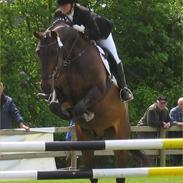 Dansk Varmblod Julandias Balou (Tidl.hest)