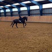 Anden særlig race Don Juan