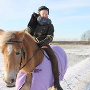 Haflinger Anastacia (stasse)<3<3<3