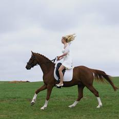 DSP Filur af grønagergård ( Låne pony)