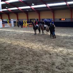 Irsk Sportspony Woodfield princess 