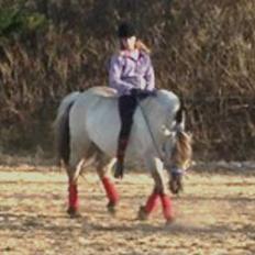 Fjordhest Anja<3 (My Soulmate<3).             (Solgt)