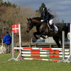 Anden særlig race Himmelhest Nightwish *DRØMMEHESTEN*
