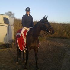 Fuldblod (XX) Ice Cube