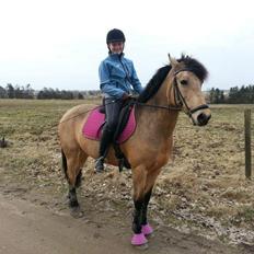 Hollandsk Sportspony Valerie <3