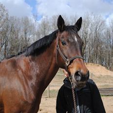 Anden særlig race Malou Kærlund (min mors)