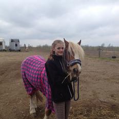 Anden særlig race Mac Gregor/Mags<333