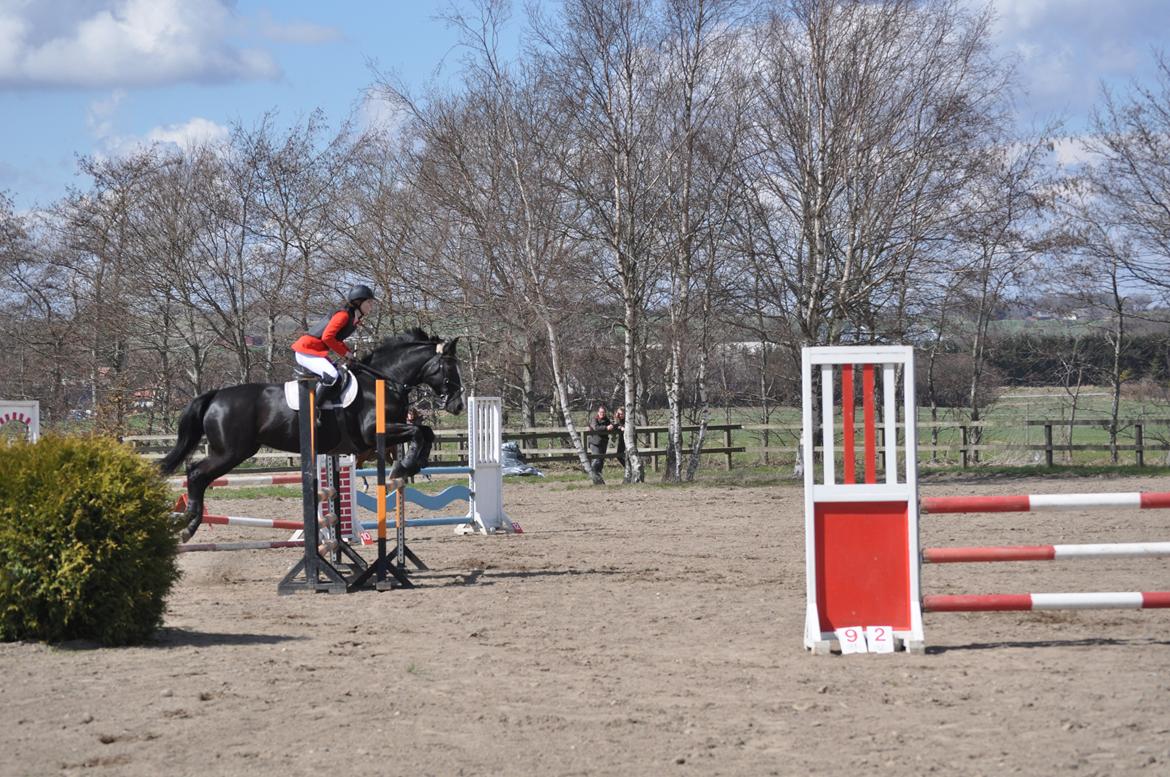 Oldenborg Josefine Fjellerup - VBH -<3 [Prinsesse] - LC 2013 <3 billede 29