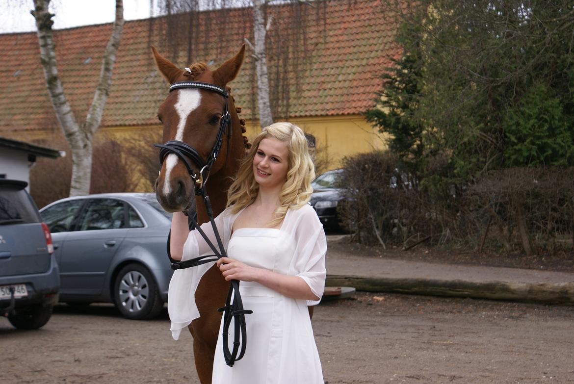 DSP Filur af grønagergård ( Låne pony) - Til min konfirmation. :-)  billede 7