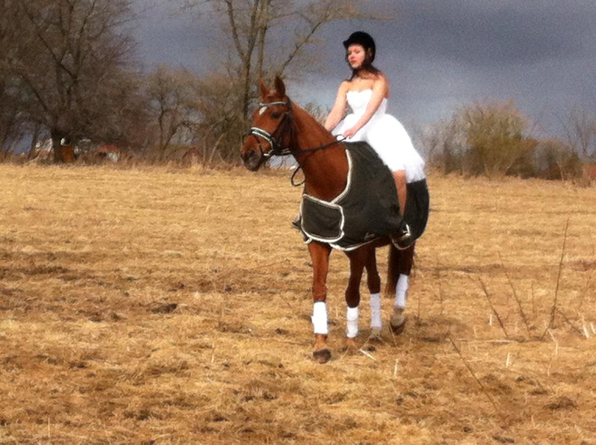 Anden særlig race Fox (Foxi) - Fra min konfirmation billede 7