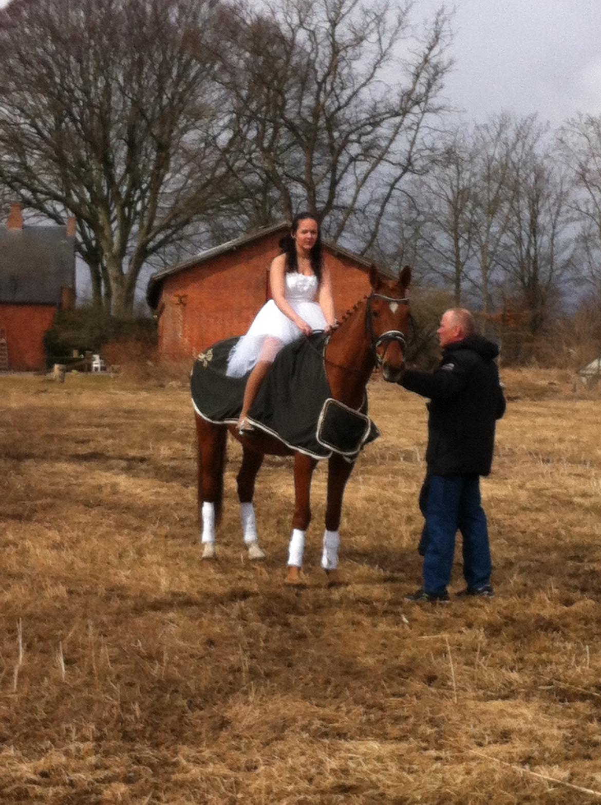 Anden særlig race Fox (Foxi) billede 13