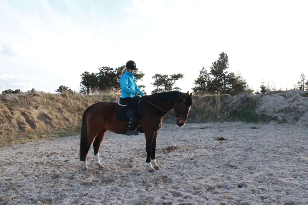 Holstener Raimond billede 7