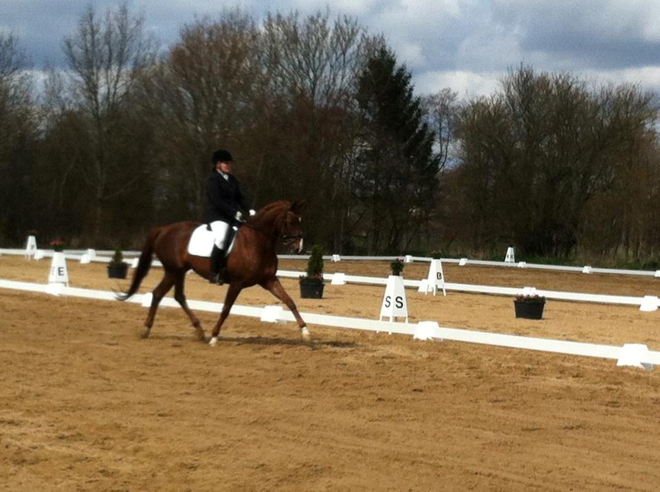 Westfaler Sissi 593 billede 3