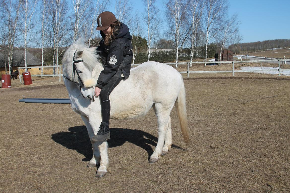 Anden særlig race Frisser [Might'N Magic] - I love you<3 | April 2013 | Foto: Mutti. billede 9