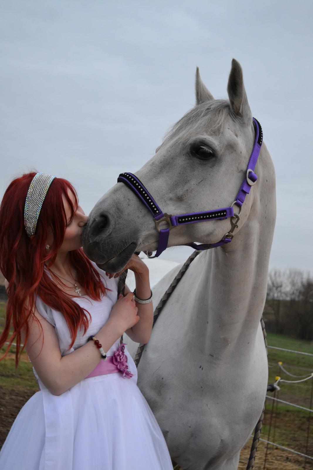 Arabisk fuldblod (OX) Wathana - - Tit øjet må tindre og læberne le, for at skjule det indre som ingen må se. <3 billede 9