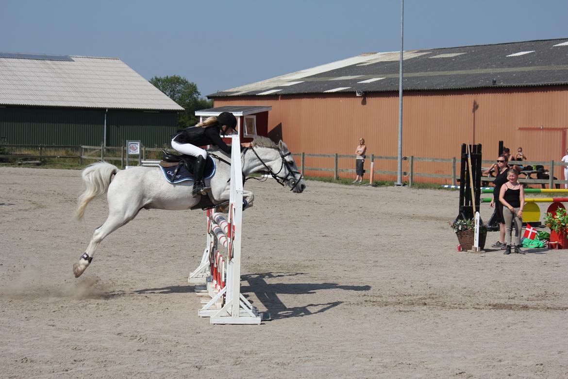 Anden særlig race Chagall (solgt) - Amager og klubmesterskab 2012 :-)
 Her over sidste spring i omspring!
 3. plads i Amagermesterskab og 2. plads i klubmesterskab :-) Foto: Far :-) billede 14