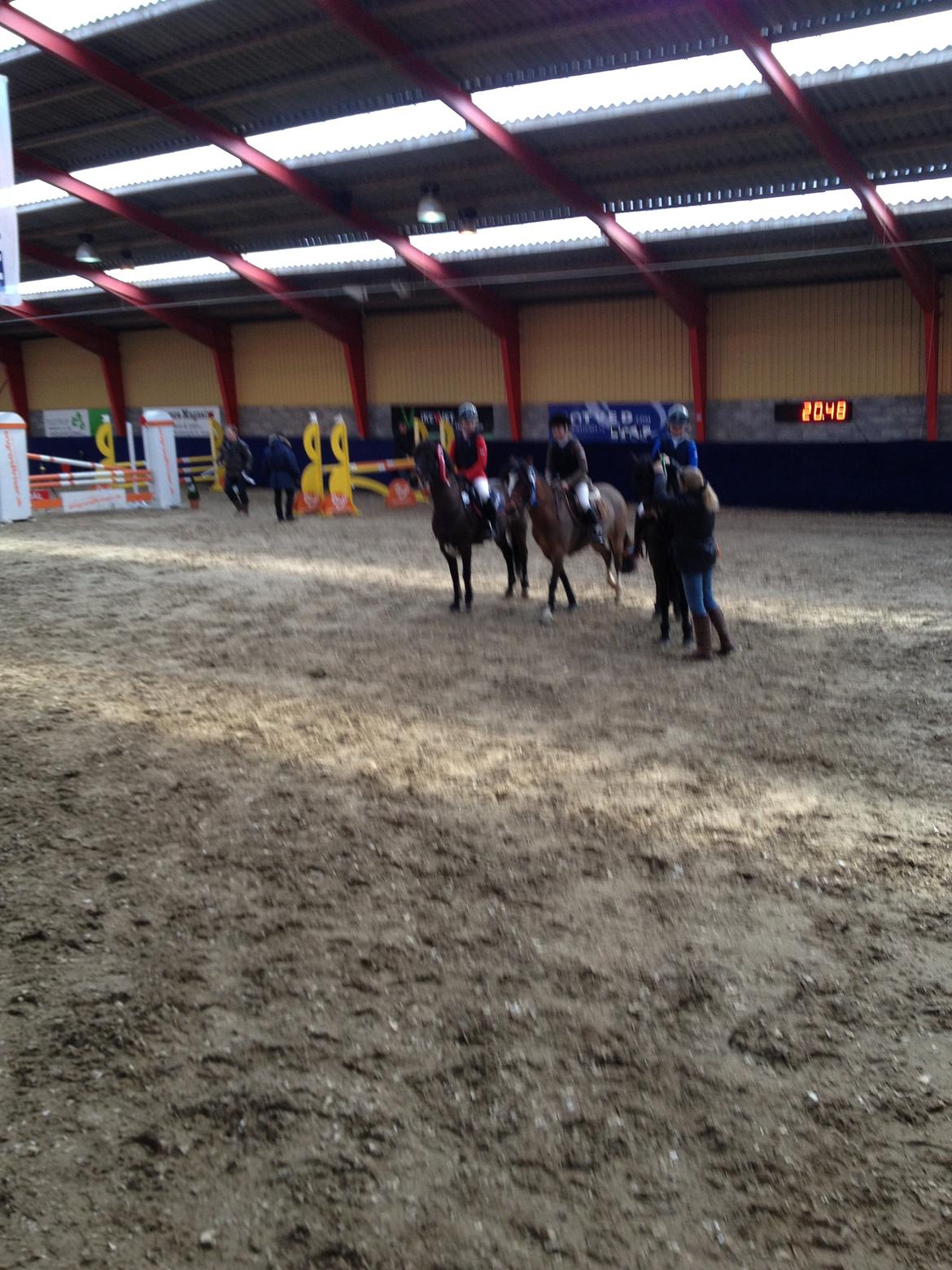 Irsk Sportspony Woodfield princess  billede 1