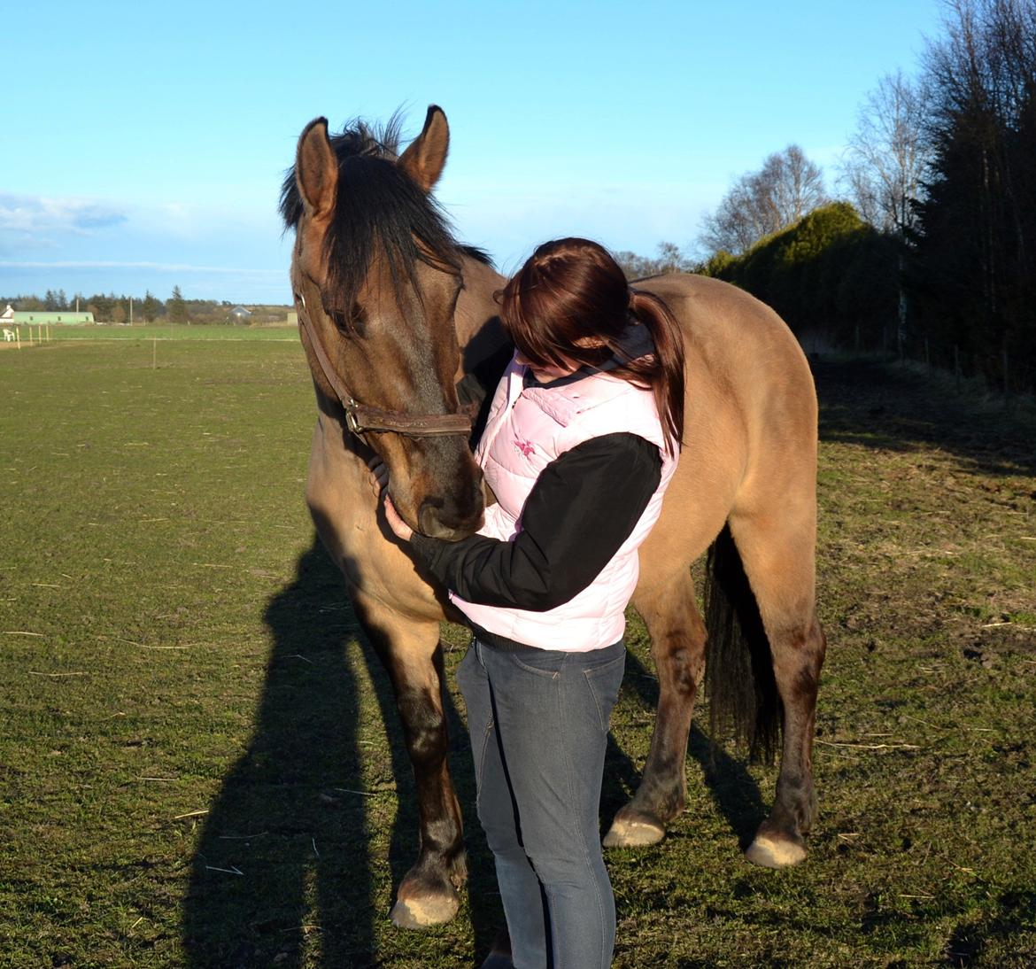 Anden særlig race RONALDO billede 11