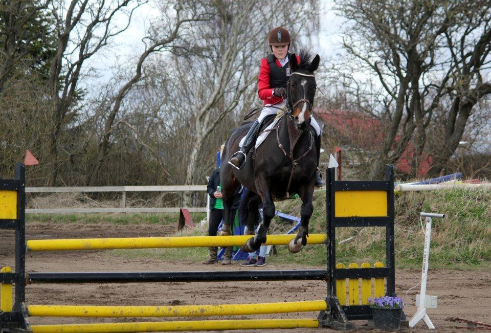 Dansk Varmblod Alberte - mig og alberte i en LD ude på BDR billede 1