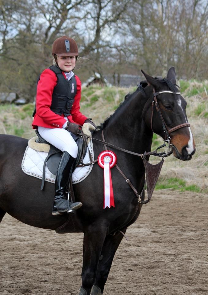 Dansk Varmblod Alberte - 1 plads i LD :D billede 2