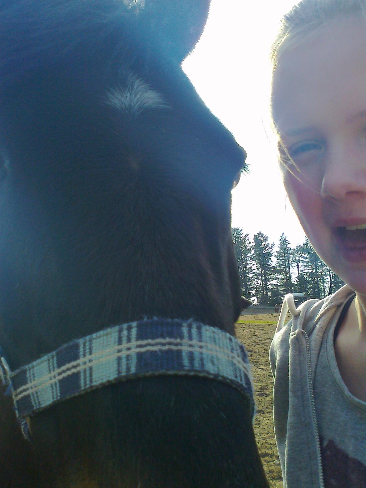 DSP Snorgaardens Mistrael [Rider ikke mere] - Strallos og jeg <3 Forår 2013 billede 6