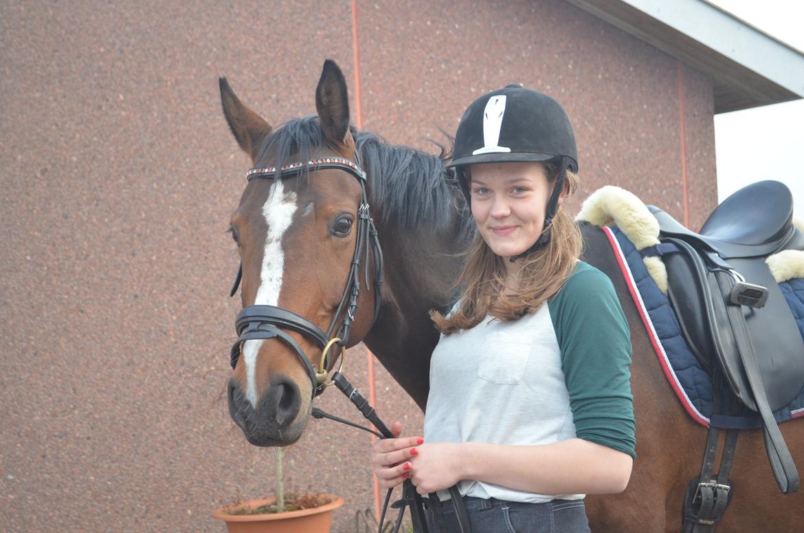 Hannoveraner Raedkaers Wayona billede 7