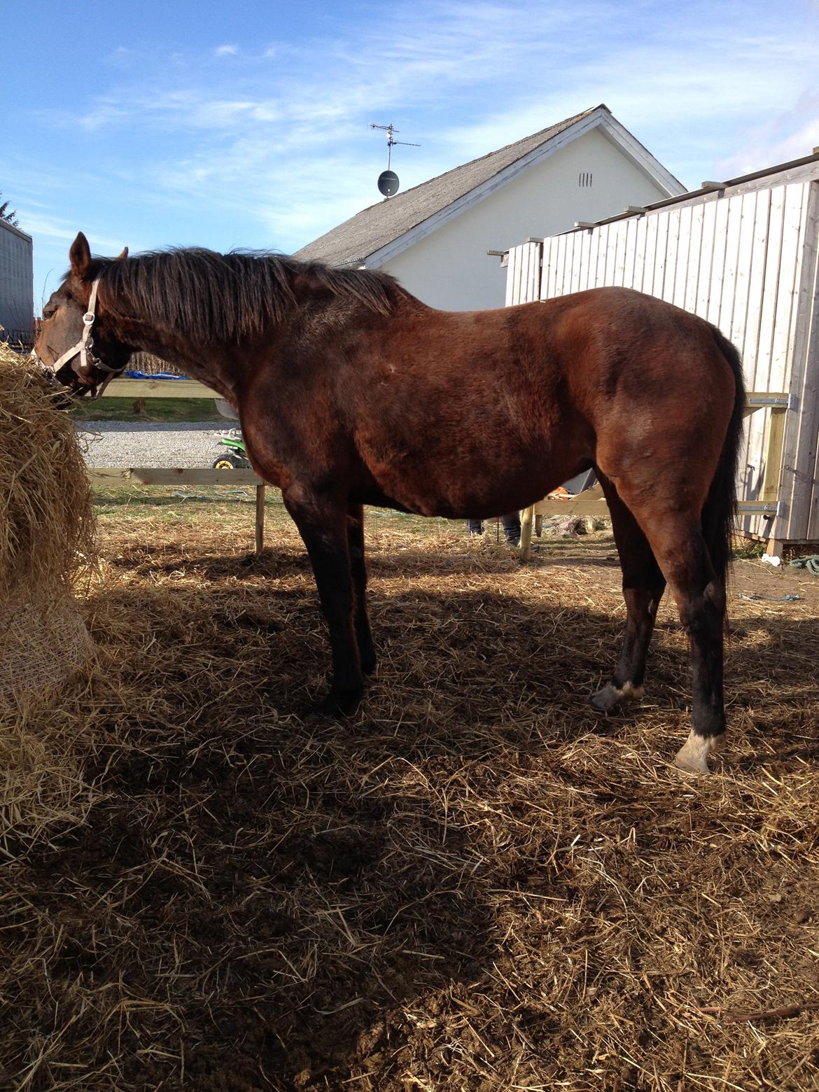 Oldenborg Locksli billede 1