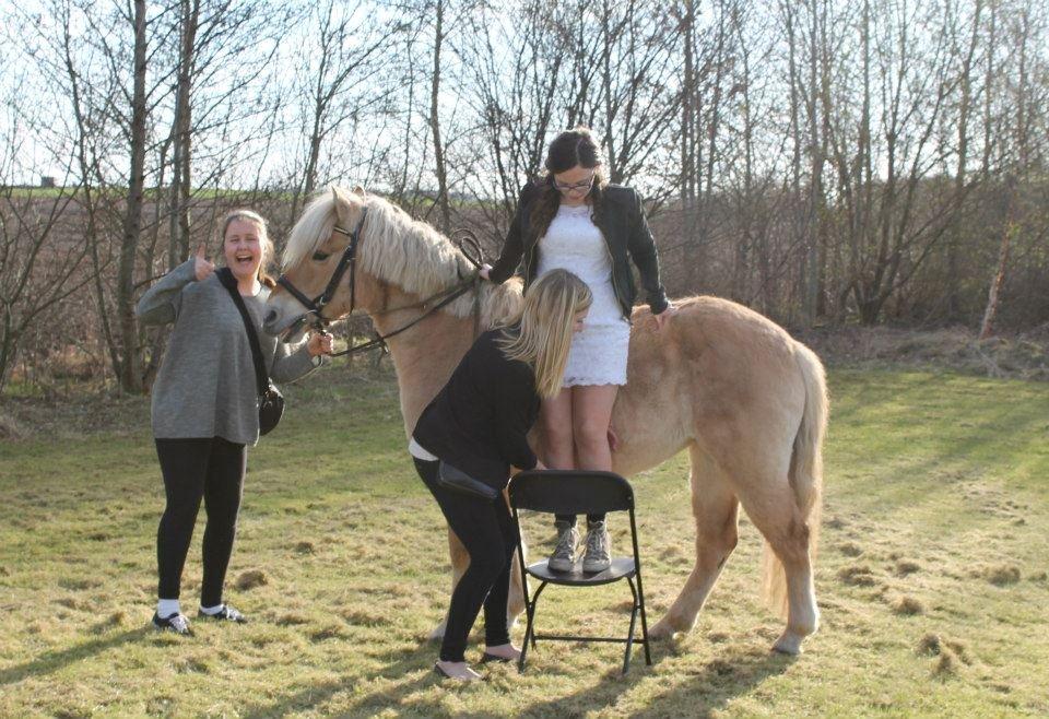 Anden særlig race Tøsen (-:. - De bedste i et billede!  billede 17