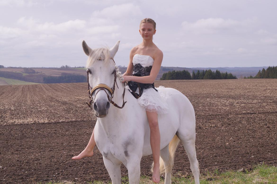 Anden særlig race Sleipner (Bamse) - Konfirmation 2013 <3 billede 2