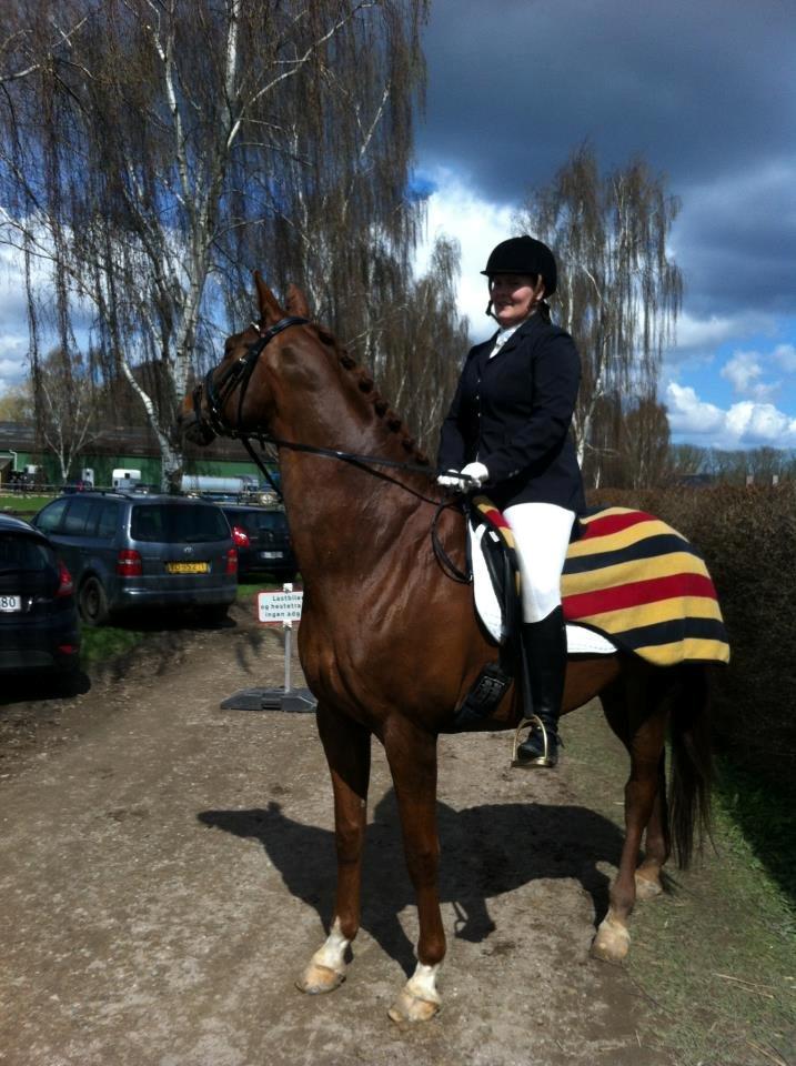 Westfaler Sissi 593 billede 11