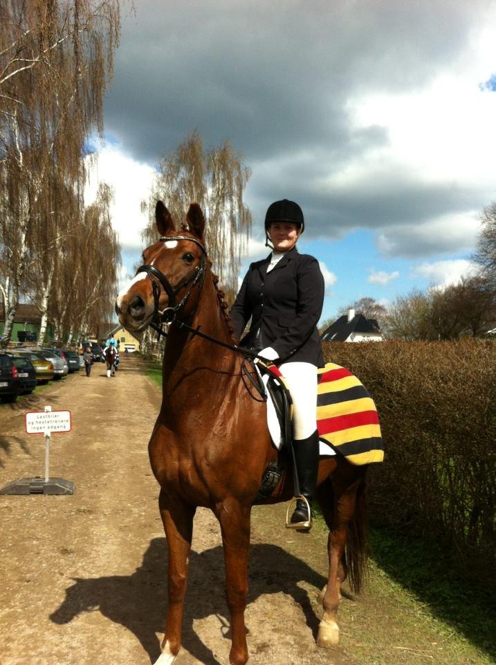 Westfaler Sissi 593 billede 12